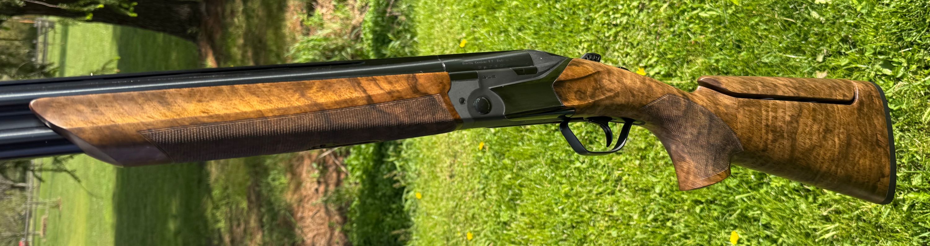 Beretta SL2 